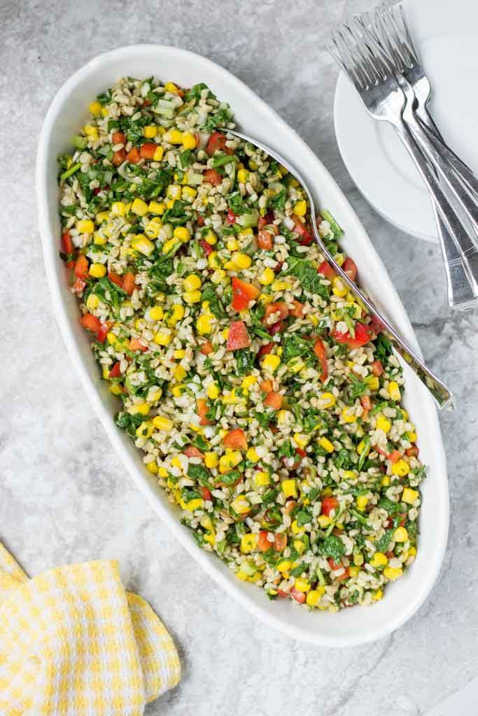 Oats Salad Shikha Diet